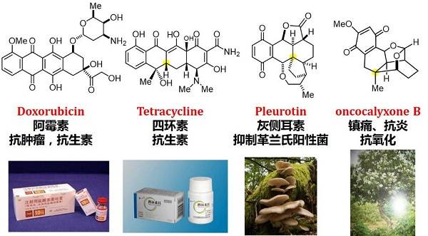快乐8游戏，专家推荐汇总与策略分析