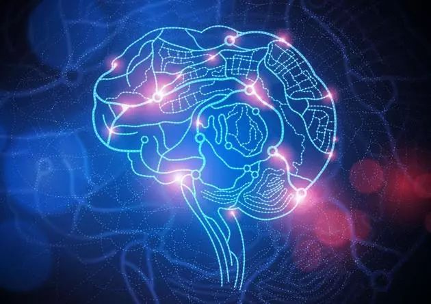 探索DOPC，一种在神经科学中备受瞩目的分子