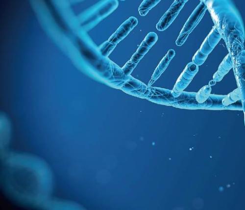 探索一水葡萄糖，从分子结构到健康益处的全面解析