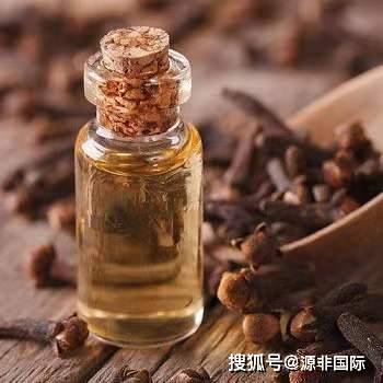 IG 第305页