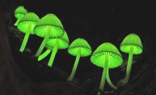 荧光寿命测试，揭秘材料性能的时间之窗