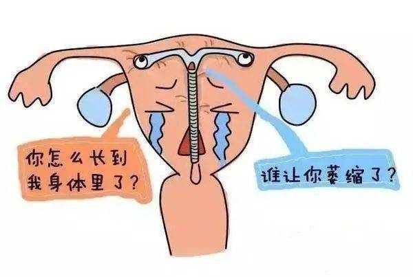产品展示 第549页