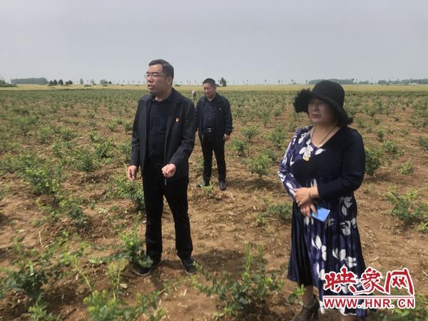 防辐射孕妇装的必要性，守护准妈妈与胎宝宝的健康屏障
