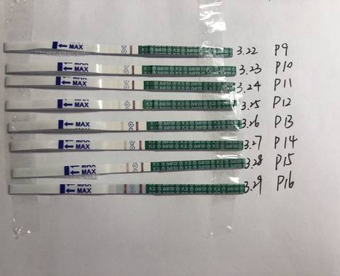 试纸多久能测出来怀孕，全面解析与实用指南