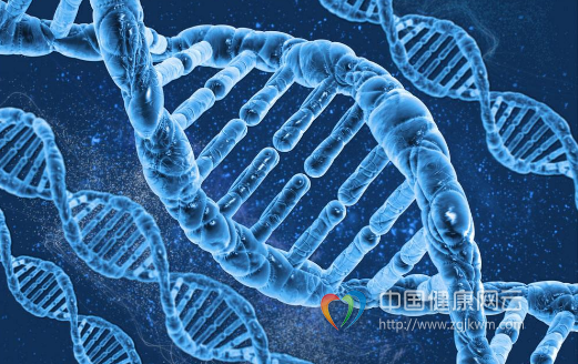 胎儿DNA鉴定，科学、伦理与未来的探索