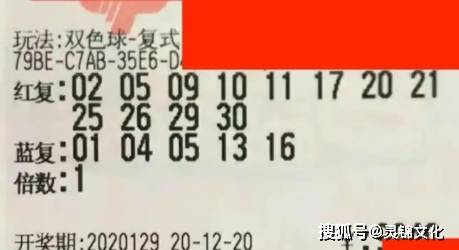 双色球2015120，一场数字的奇幻之旅与人生启示