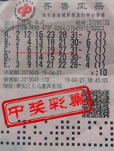 彩票33选6万能公式，理性与智慧的结合