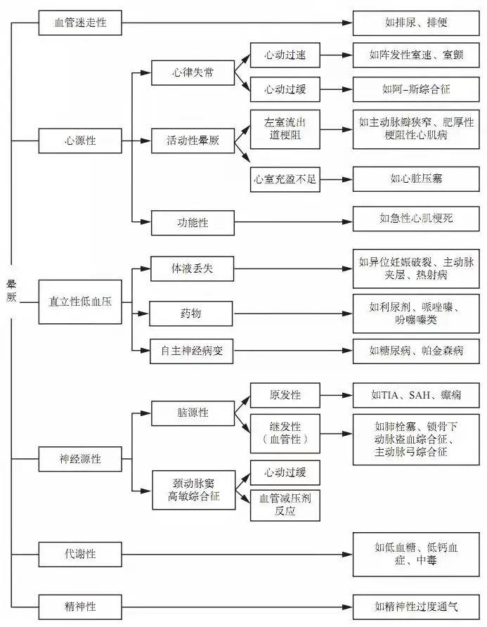 探索双色球彩宝网走势图，揭秘数字背后的奥秘