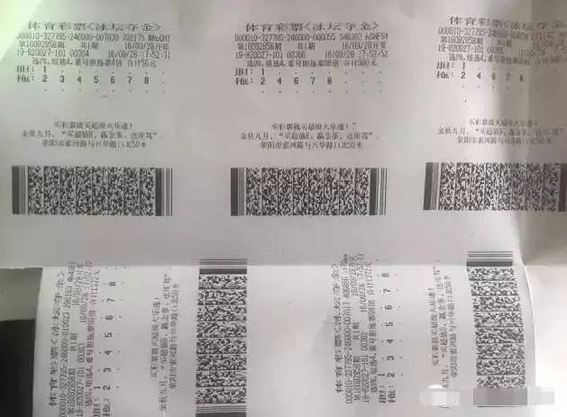 福建体彩31选七，揭秘开奖走势图与彩民策略