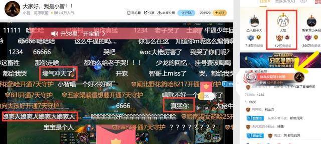 七星彩直播开奖现场视频，揭秘数字游戏的神秘面纱