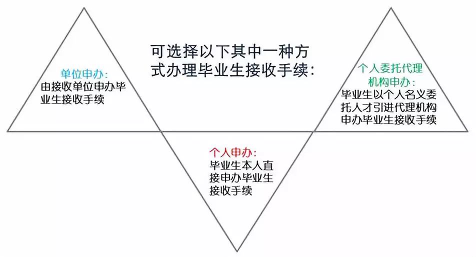 admin 第275页