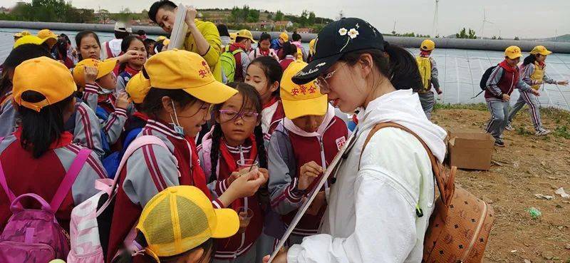 3D建模学习之旅，探索学费的奥秘