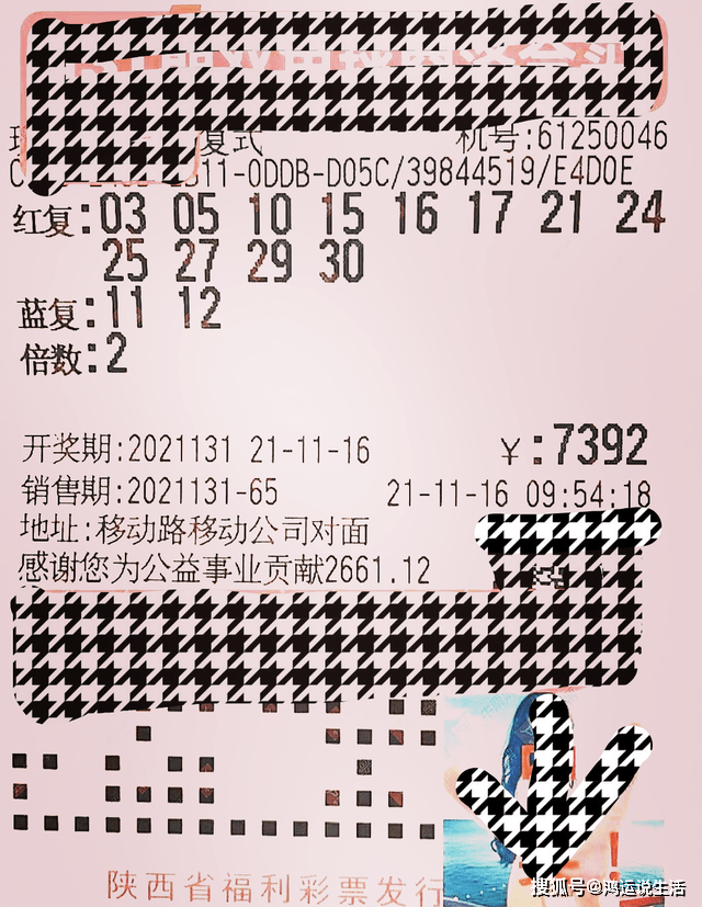探索双色球131期开奖号码的奥秘与影响