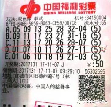 福利彩票2024096期结果查询，揭秘中奖背后的故事与影响