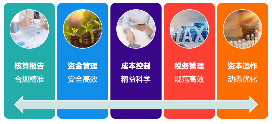 河北省财政厅会计信息网，透明化、高效化与智能化的财务管理新平台