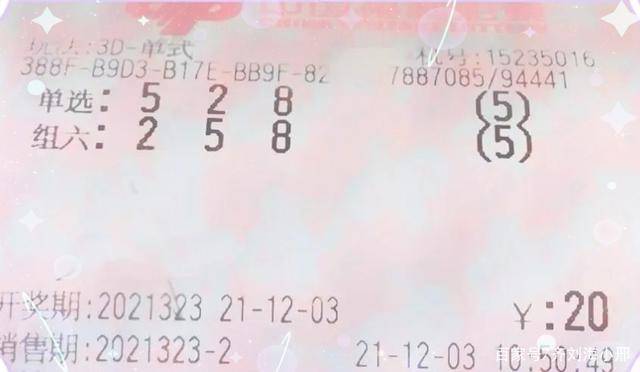 福彩3D开奖号码500，数字背后的幸运与希望