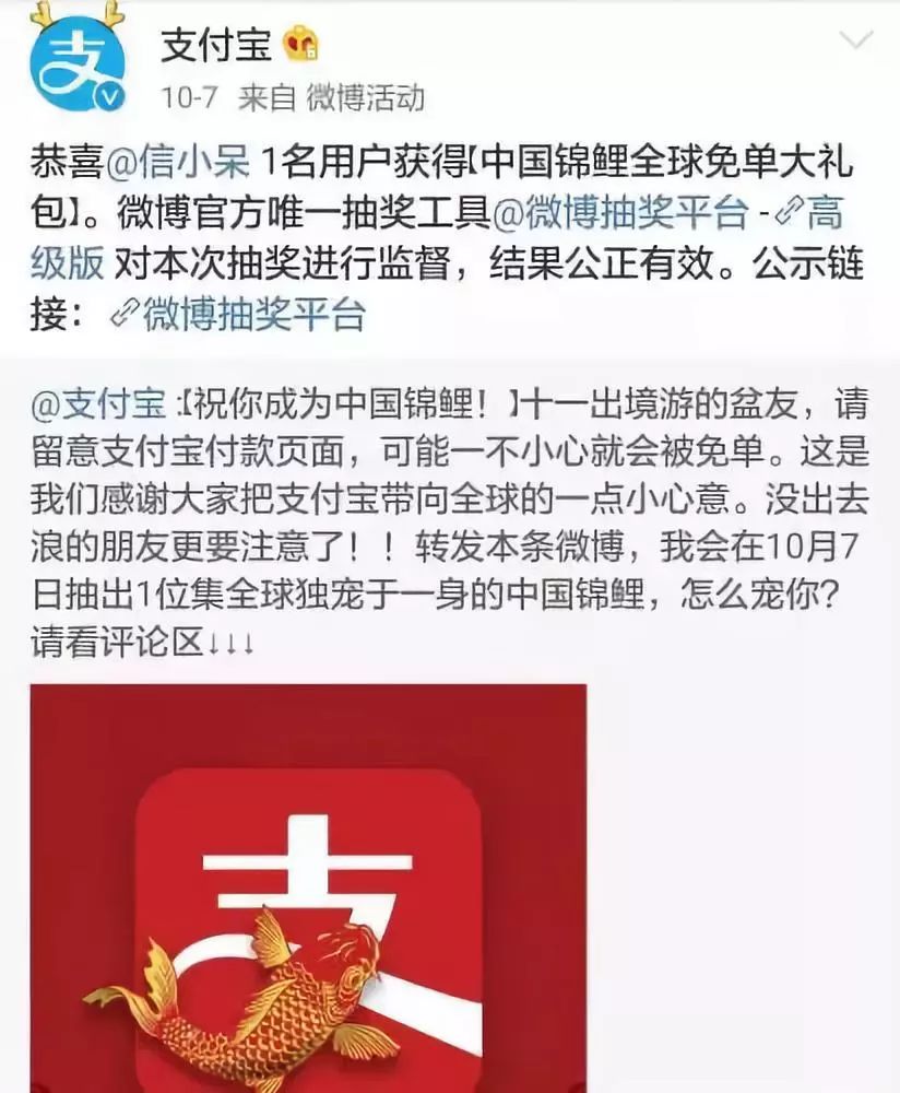 揭秘中彩网开奖公布，公正、透明与公众的信任