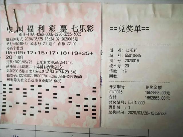 福利彩票七乐彩综合版，梦想与现实的交汇