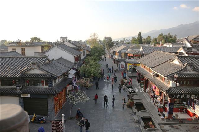 云南十一选五开奖历史数据，透视彩票背后的数字世界