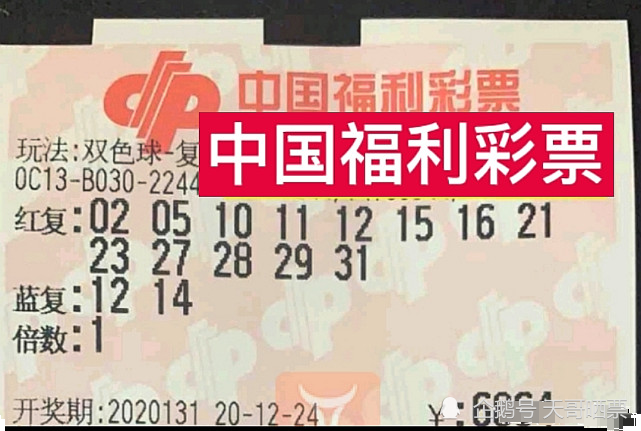 复核员 第261页