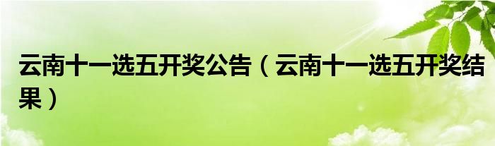 云南11选5彩票开奖查询，揭秘玩法与技巧