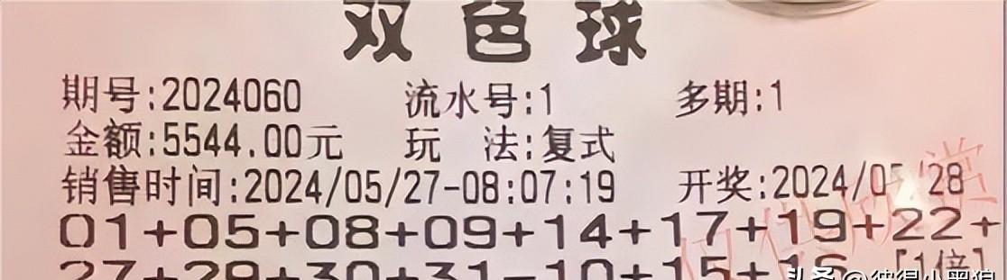 中国彩票网双色球预测，理性与娱乐的平衡