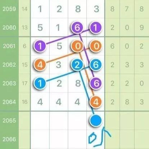 南国体彩排列五论坛，数字背后的智慧与乐趣