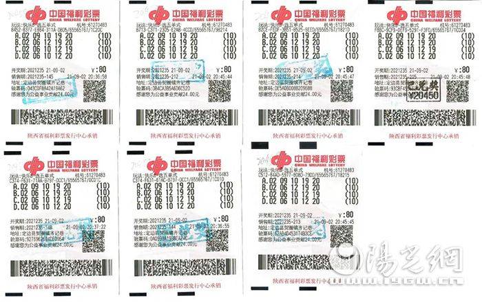 福彩字谜，天齐网首页的智慧与乐趣