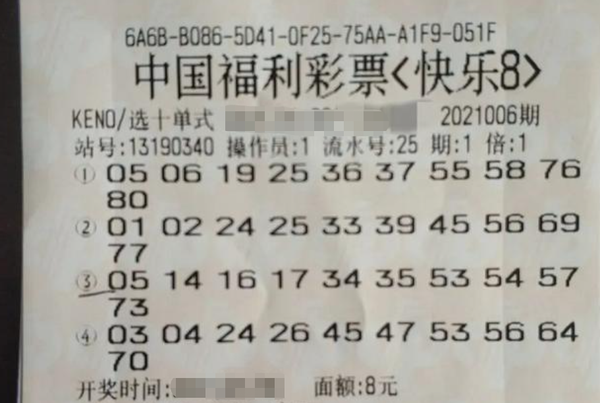 探索香港马赛，揭秘最准资料的背后香港赛马会专业马报