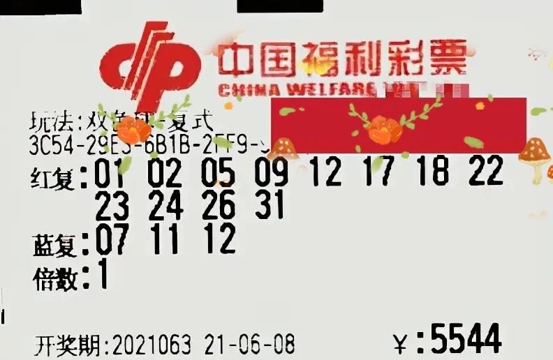 2013093期双色球开奖结果揭晓，梦想与幸运的碰撞