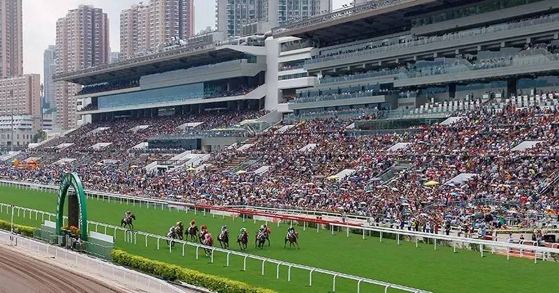 2022年香港现场开奖直播，速度与激情的完美结合