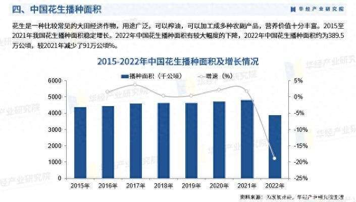探索中国花生信息网62422，解锁花生产业新篇章