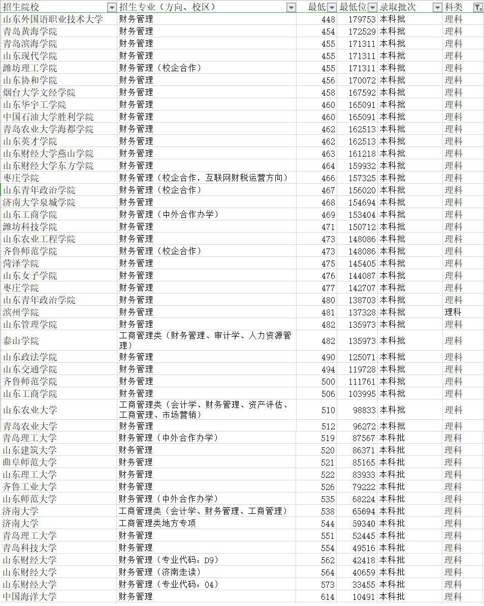山东省会计信息网站官网，企业与个人财务管理的智慧平台