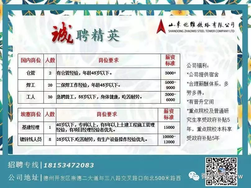 揭秘四肖八码中特期期的精准预测与理性分析四肖八码中特期期准精选资料丿做牛做马