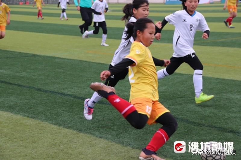女足风采，激情燃烧——CCTV5女足直播在线观看全攻略