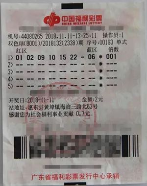 31期双色球，揭秘开奖号码的奥秘与彩民的期待
