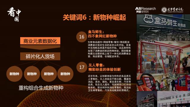广东20选5，探寻数字背后的奥秘与乐趣