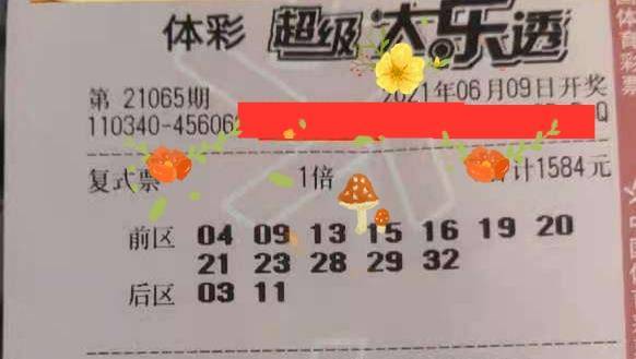 彩票最新开奖公告查询，揭秘幸运背后的数字游戏