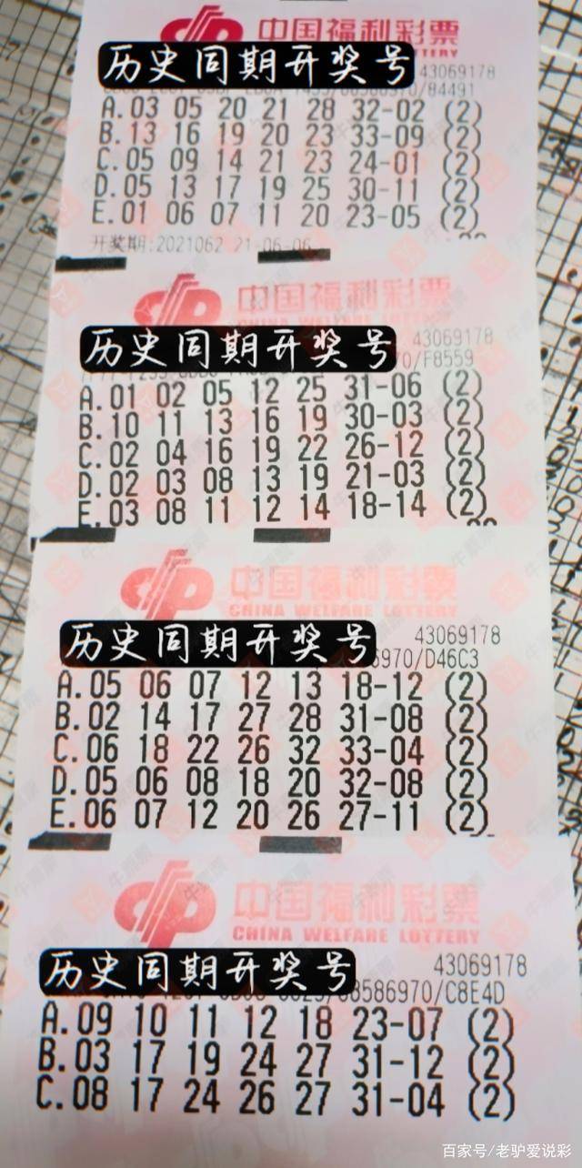 彩民乐树图库，数字与梦想的交汇点