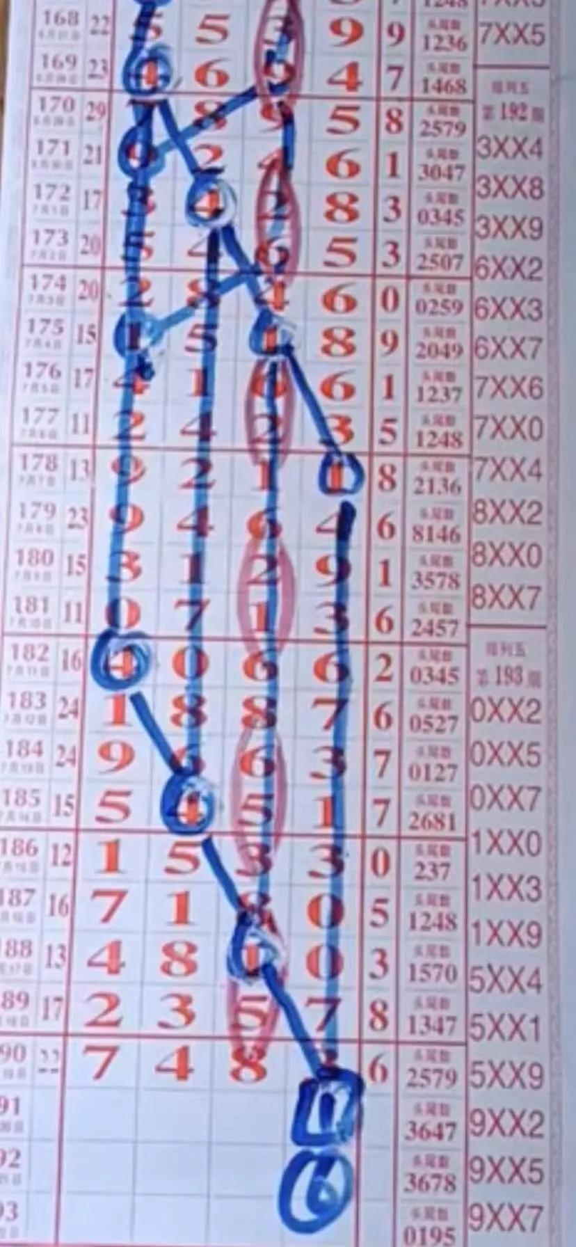 排列五开奖历史号码查询，揭秘数字背后的奥秘