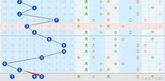 探索双色球1000基本走势，新浪视角下的数字游戏