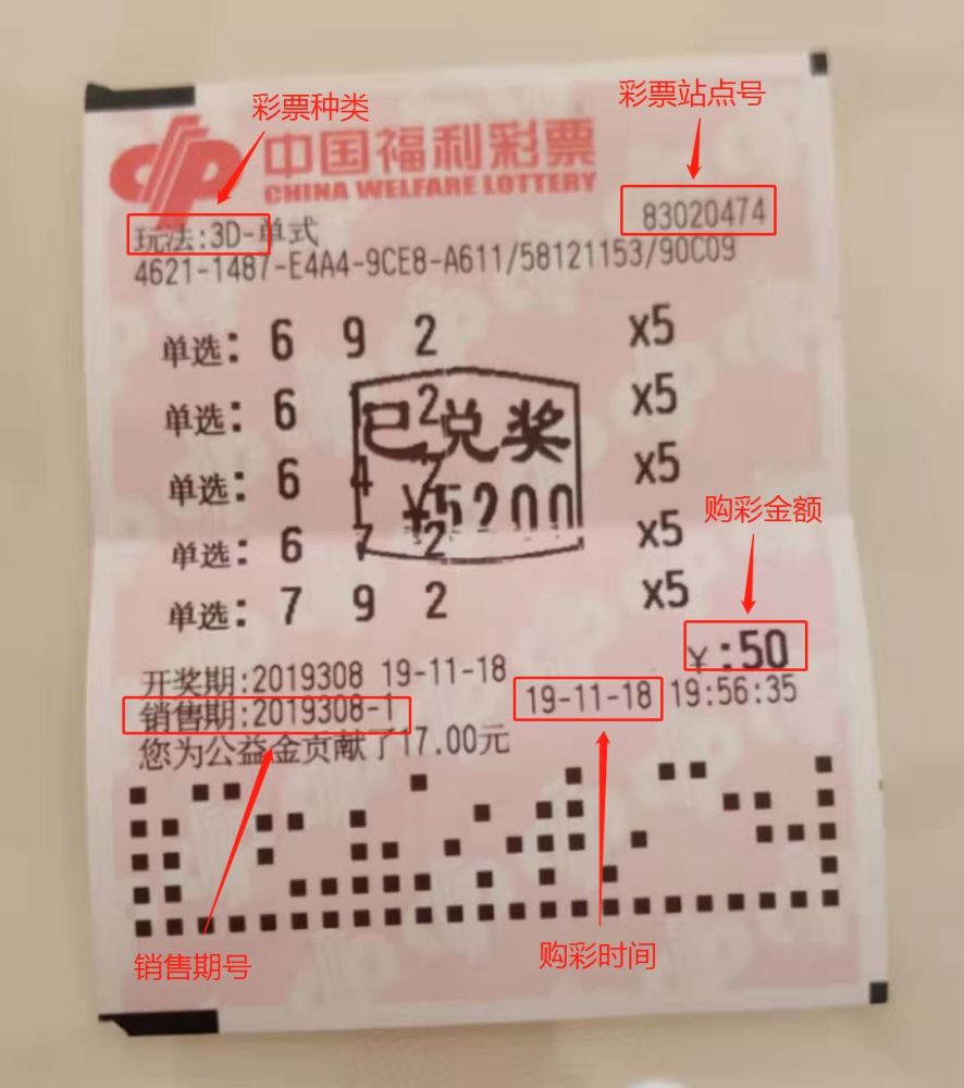 七乐彩胆拖投注表，解锁彩票中的智慧与策略