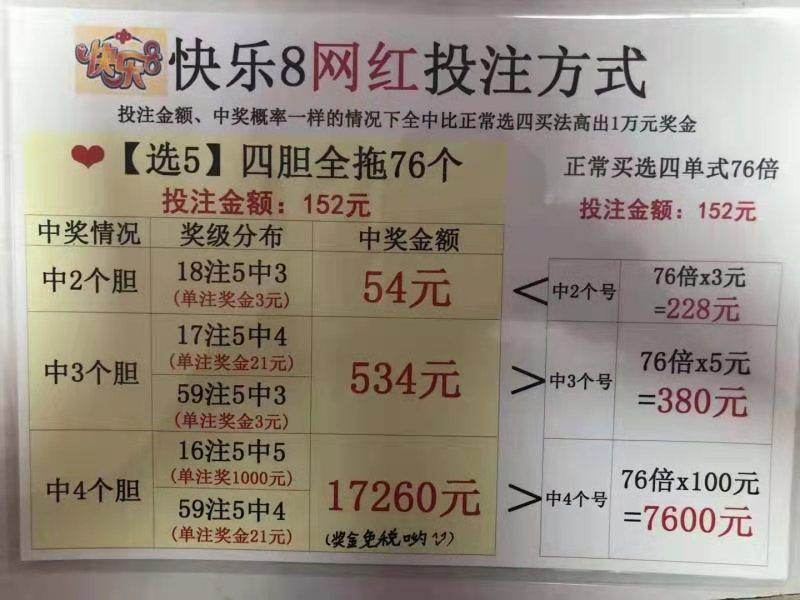 双色球计算器，胆拖策略的智慧之选——解锁中奖概率的秘密