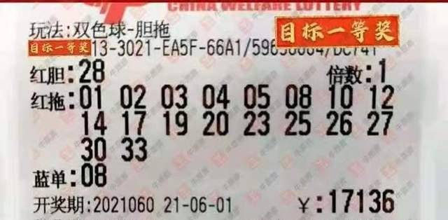 探索双色球，机选号码的奥秘与乐趣