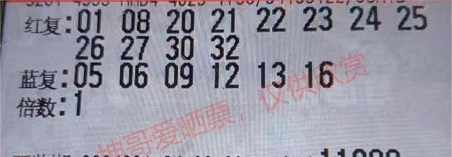 今日双色球所有晒票统计汇总，揭秘彩民热情与理性并存的新风尚