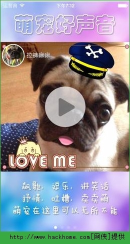 探索狗扑论坛，宠物爱好者们的温馨家园狗扑网app