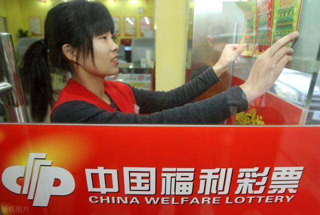 现场报码，重塑彩票购彩体验的革新之举手机报码室最快现场报码