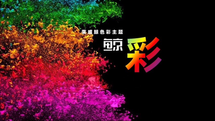 复核员 第163页