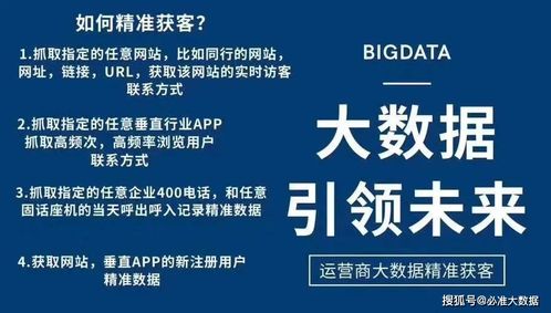 曾夫人论坛752，网络社区的深度探索与影响分析曾夫人论坛免费资料最新一期