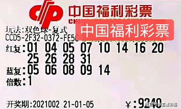 2034年今晚澳门开奖结果,揭秘数字背后的幸运与期待2023年今晚澳门开奖结果是多少号呢视频直播回放网